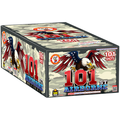 101ST AIRBORNE